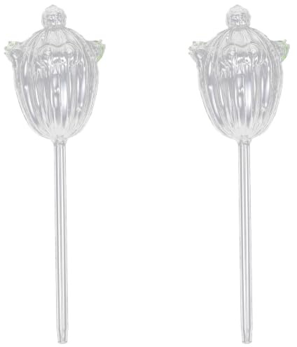 TEHAUX Globo Automatica Pezzi Vetro 2 Forma Irrigazione in a e di Cactus Annaffiatura Accessorio Decorativo per Fiori Bonsai per Piante in Vaso e Giardinaggio Domestico