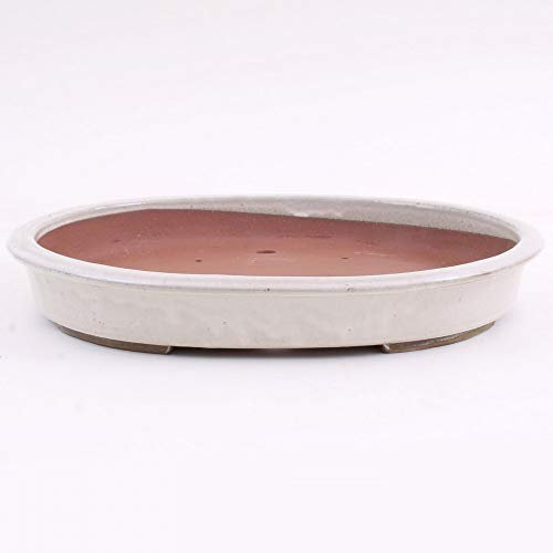 Bonsai - Schale, Waldschale, oval 47 x 38 x 7 cm Creme 51110