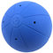 WV Original Goalball für Sehbehinderte - IBSA - 1250 Gramm - 25 cm - Blau