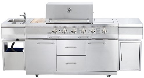 Allgrill, grill a gas per cucina da esterno, modello Professional
