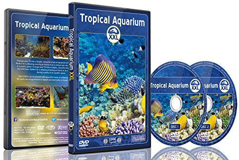 Aquarium DVD - 2 DVD Set Tropisches Aquarium XXL - 2 Stunden mit bunten Korallen und Fischen