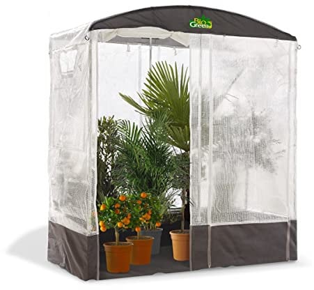 Bio Green Foliengewächshaus PATIOFLORA 200 für Terrasse und Garten | ganzjährig einsetzbar | UV-beständig | 4 Belüftungsöffnungen | inklusive Regal | L 200 x B 100 x H 220 cm