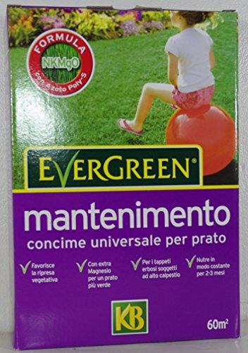 EVERGREEN MANTENIMENTO PLUS DA 2 KG concime per prati erbosi