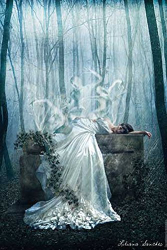 Sanches, Liliana - Her Demise - Fantasy Poster Her Demise - Grösse cm