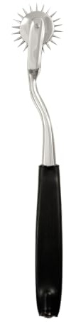ElectraStim Single Electro Wartenburg Pinwheel Black/Silver OS