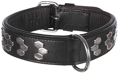 TRIXIE Active Halsband mit Nieten, Multi, L: 48-55 Cm/40 Mm