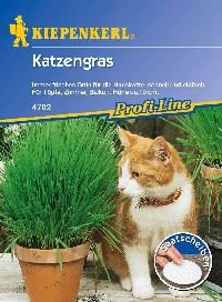 Kiepenkerl 4704 Katzengras (Saatscheibe)