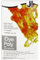 Jacquard Ipoly - Tinte para tela, 14 g, color naranja