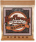 Ernie Ball Earthwood Medium - Cuerdas para guitarra acústica, bronce fosforado, calibre 13-56