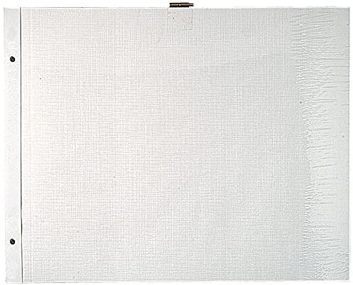 Exacompta 16812E 10er Pack Einlagen für Fotoalben mit Schraubbindung im Format 29 x 37cm, weiß