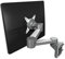 Dataflex Monitorhalterung, Silber, 34.7 x 21.7 x 12.8 cm, 58.422