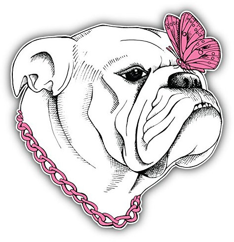 postwalldecor Bulldog Dog Girl Hochwertigen Auto-Autoaufkleber 12 x 12 cm