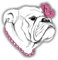 postwalldecor Bulldog Dog Girl Hochwertigen Auto-Autoaufkleber 12 x 12 cm