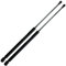 BESTPRICE 2x Gasfeder Heckklappe für AUDI A3 (8L1), Schwarz, Metall, Heck, 500 mm, 460N, Gasfeder