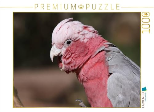 CALVENDO Puzzle Rosakakadu | 1000 Teile Lege-Größe 64 x 48 cm Foto-Puzzle für glückliche Stunden