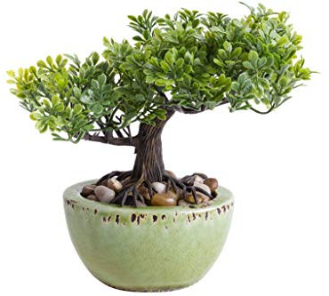 Unbekannt künstlicher Mini Bonsai in grüner ovaler Keramikschale (Ficus-Bonsai)