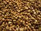 Hanfsamen 1 kg Hanfsaat Hanf für Futterzwecke, Futterhanf