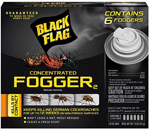 Black Flag Concentrated Fogger, 6 Count-1.25 Ounce Cans, Indoor Insecticide, 1 Pack