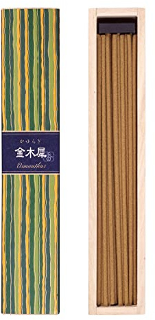 Nippon Kodo Räucherharz, Grün, Einheitsgröße