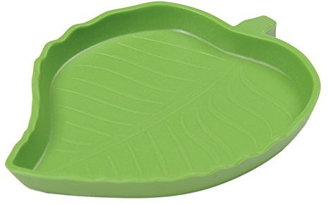Sundautumn Bol Gamelle d'Eau pour Tortue Reptile Forme de Feuille (Taille M)