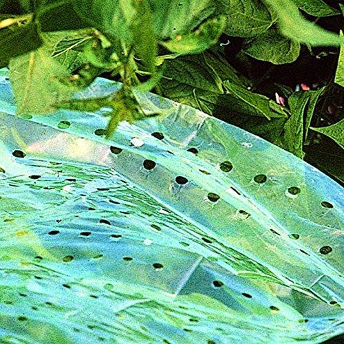 Xclou Garden Wachstumsvlies, Transparent, ca. 1,5 x 10 m