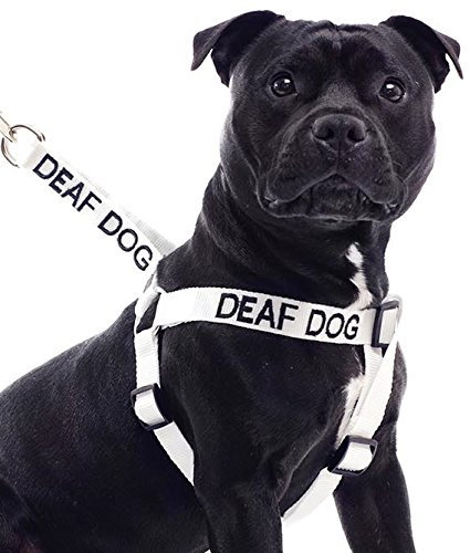 Taub Hund Weiß Farbe Coded L-XL Non-Pull-Hundegeschirr (No / Begrenzte Hearing) verhindert, dass Unfälle, die durch Warn Sonstige Ihren Hund im Voraus!