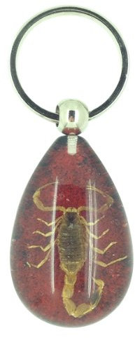 véritable scorpion en résine rouge et noir Porte-clés