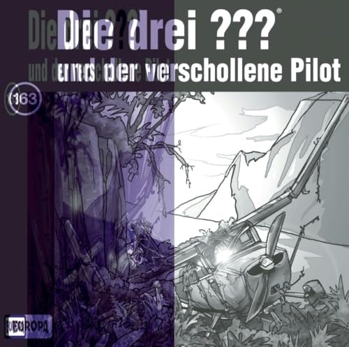 163/und der verschollene Pilot