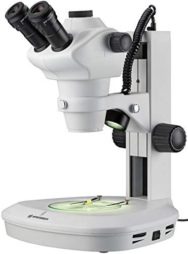 Bresser - Estereomicroscopio Science ETD-201, Blanco (5806200)