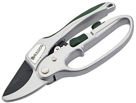 Bulldog BD31303 Premier Gartenschere mit Ratsche, Silber