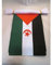 AZ FLAG Guirnalda 6 Metros, 20 Banderas de Sahara Occidental 21x15 cm, Bandera República Árabe Saharaui democrática 15 x 21 cm - Banderines