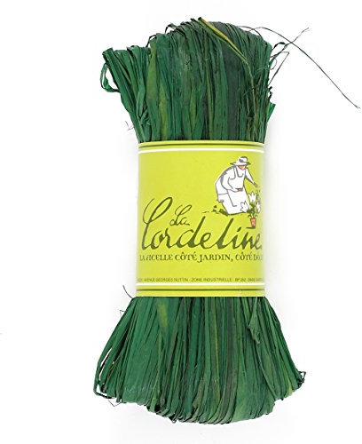 La cordeline JN50G Raphia Menthe 50 g
