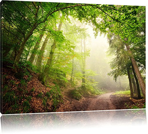Pixxprint Sonnenstrahlen Waldweg, Bild, Größe: 120x80cm, Leinwandbild, fertig gespannt, Wandbild, Dekoration, Kunstdruck, kein Poster