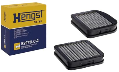 Hengst E2973LC-2