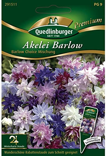 Akelei, Barlow Choice Mischung