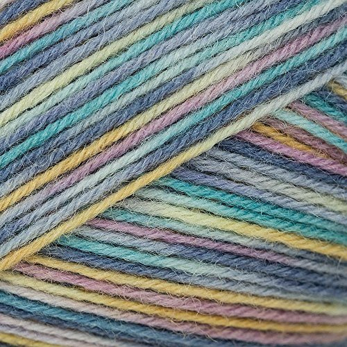 Schoeller und Stahl Fortissima Color - Natur (2411)