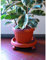 Bama Plante soucoupes avec Roues, 35 cm Terre Cuite
