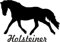 2x Auto Aufkleber  HOLSTEINER  Pferd 2x Car Sticker Konturgeschnitten (ca. 11x8 cm) (Schwarz)