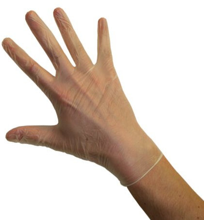 Careshop Clear Value Vinyl Powder Free Gloves - Large (1 Pack of 100)
