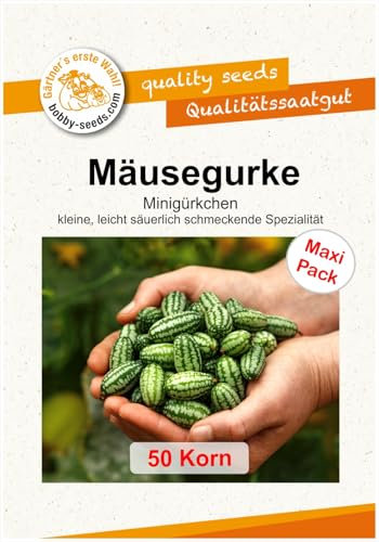 Minigurkensamen Mexikanische Mäusegurke Melothria 50 Korn