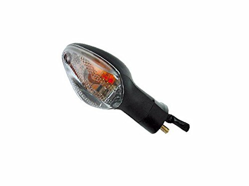 Turn signal front right