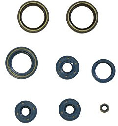 Athena P400010400012 Shaft Seal Kit