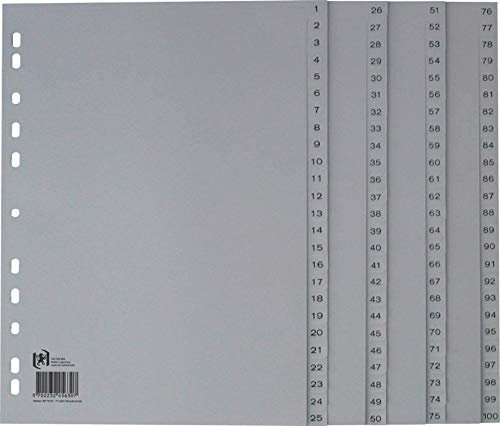 Oxford A4 Kunststoff-Register, 100-teilig, ohne Deckblatt, grau