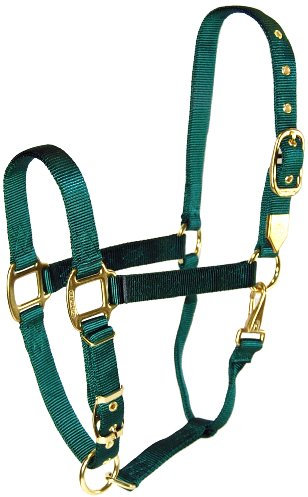 Hamilton 2,5 cm Nylonhalfter mit verstellbarem Kinn, Dunkelgrün, Größe S 500 bis 362,9 kg