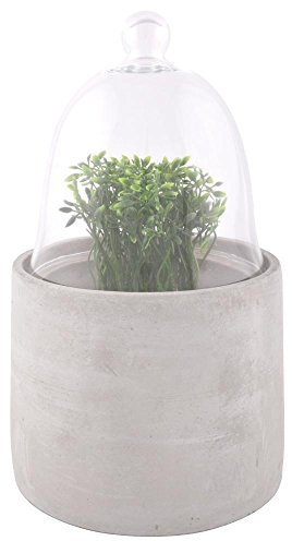 Esschert Design Ziehglocke mit Betonsockel aus Beton und Glas, 15,8 x 15,8 x 26,8 cm
