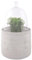 Esschert Design Ziehglocke mit Betonsockel aus Beton und Glas, 15,8 x 15,8 x 26,8 cm