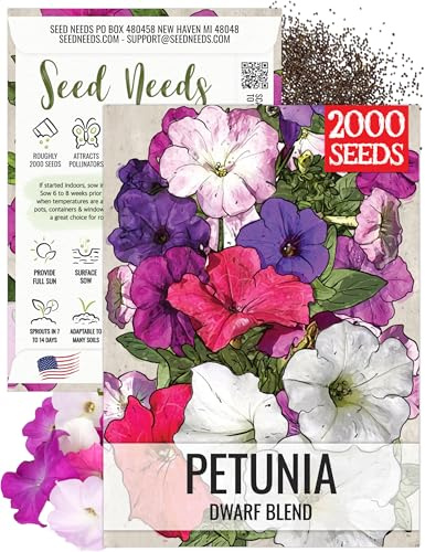 Seed Needs Petunia Seeds for Planting a Dwarf Mixture of Flowers - Heirloom & Open Pollinated - Grow an Outdoor Butterfly Garden to Attract Butterflies, Bees & Pollinators (1 Pack)