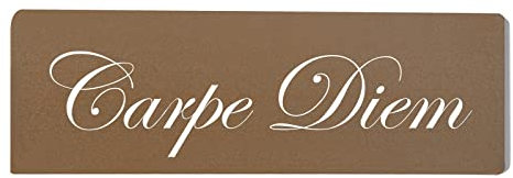 Homeyourself Carpe Diem Dekoschild Türschild braun zum kleben