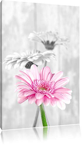 Pixxprint schöne Gerberas bei Tageslicht B&W, Größe: 100x70cm, Leinwandbild, fertig gespannt, Wandbild, Dekoration, Kunstdruck, kein Poster