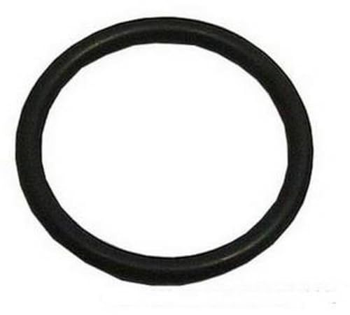 Guarnizione in oro (23,81 x 2,62) per lavastoviglie INDESIT - C00054917